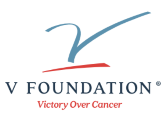 v-foundation-logo