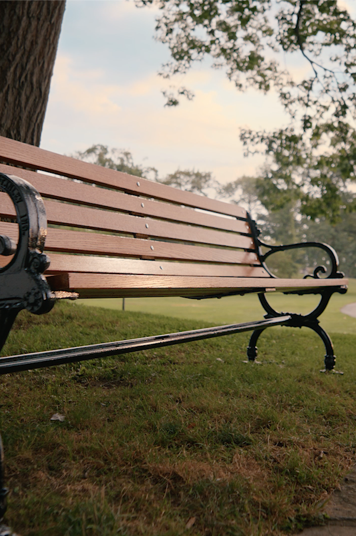 bench in a park