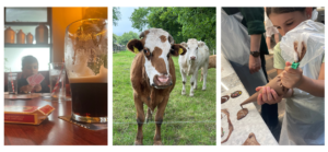 boy playing cards in a pub, cows in a field, girl making chocolate